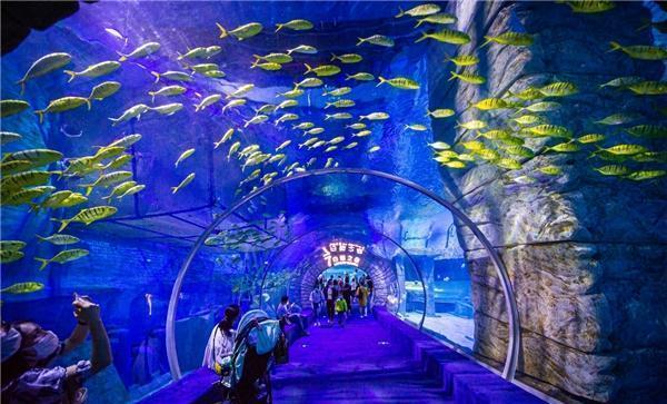 2024我国“医药类”大学最新排名!协和稳居榜首,南医大位列第三